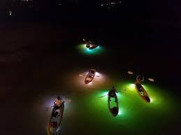 You deserve only the best! Tripadvisor Glass Bottom Kayak Led Illuminated Night Tours St Petersburg Clearwater Fl Provided By Sharkey S Glass Bottom Tours Madeira Beach Florida