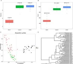 A Global Comparison Of The Microbiome Compositions Of Three