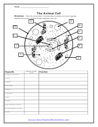 Science Worksheets Cells Worksheet Science Worksheets Science Cells