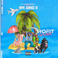 Collecting coins can be a hobby, a way of making money or a little of both. All Profit Lifesyle Album By Ape Gang B Spotify