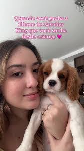 Annie Cavalier's Instagram, Twitter & Facebook