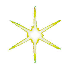 Barney S Magic Star And Barney Doll Wink His Eye Star Barney Friends Graphic Design Barney