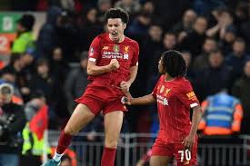 Stadion sultan ibrahim homebase johor darul ta'zim, stadion dgn standar dunia. Liverpool Vs Everton Minamino Debut The Reds Lolos Babak Berikutnya Halaman All Kompas Com