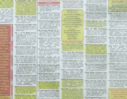 Matrimonial Ad Projects :: Photos ...