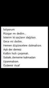 Ruzgar Mi Dedim Isterim Ki Saclarin Dagilsin Ozdemir Asaf Edebiyat Sac Ve Deri