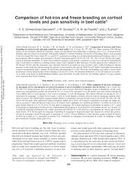 Branding irons & livestock branding equipment at long view ranch branding irons, we design and build top quality livestock brands and branding irons; Pdf Comparison Of Hot Iron And Freeze Branding On Cortisol Levels And Pain Sensitivity In Beef Cattle