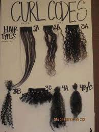 Have found that black hair may differ in the distribution of lipids throughout the hair shaft. What Hair Grades 3a C And 4a C Look Like June S Journal