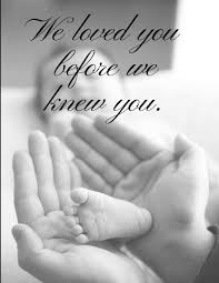 We Loved You Before We Knew You Baby Book For Adoptive Parents Amazon Com Br