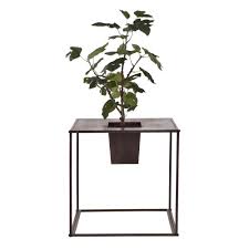 Plantele au radacinile ambalate in. De Unde SÄ Cumperi Amazon Sosiri Noi Suport Pentru Flori De Interior Bobbysaxmusic Com
