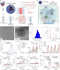 Our 12 year old daughter, kaydee, was diagnosed with. Endosomolytic Polymersomes Increase The Activity Of Cyclic Dinucleotide Sting Agonists To Enhance Cancer Immunotherapy Nature Nanotechnology