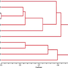 Pdf Root Nodule Bacteria From Clitoria Ternatea L Are Putative Invasive Non Rhizobial Endophytes