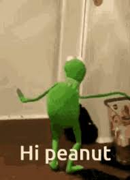 Peanut Head Gifs Tenor