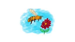 Chamomile is an easy plant to grow in full sun with little to no maintenance—so much so that it can become an invasive weed. Honeybee Hovering Flower Drawing 2d Anim Stock Video Pond5