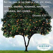 A tree and its fruit by god's grace, may our family tree bear good fruit as we grow to know & love him more each day. And You Will Know A Tree By Its Fruit Fruit Of The Spirit The Fruit Of The Spirit Scripture