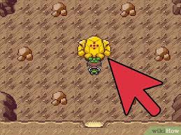 Go to route 120 in the cave. Como Encontrar A Los Regis En Pokemon Esmeralda 7 Pasos