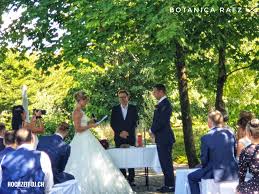 Das ist dann eine kleine katastrophe, die vielen tieren das leben kostet. Home Hochzeit Dj