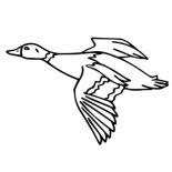 We did not find results for: Hunting For Mallard Duck Coloring Pages Color Luna