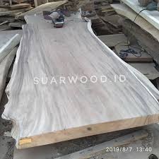 Unfinished Solid Suar Wood Slabs Dinning Tables Top Beautiful Grain Make Any Room So Good Suar Wood Australia Slabs S Wood Slab Dinning Table Live Edge Slab