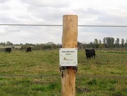 Uberwachung Des Weidezaunes Am Schwarzwildgatter In Lippstadt Zur Sicherung Des Geheges Gegen Wildschweine Von Aussen Ist Ein Elektrisch Plants Tree Trunk Tree
