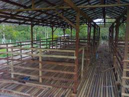 Proses rakit kandang minimalis order pertama. Cara Bikin Kandang Kambing Dari Bambu Ndik Home