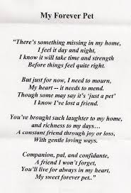 Maybe you would like to learn more about one of these? Pet Loss Poems