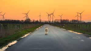 East friesland, german ostfriesland, cultural region bordering the north sea and encompassing the coastal marshlands and east frisian islands (ostfriesische inseln). Reiseziel Ostfriesland Schonste Reiseziele Niedersachsen