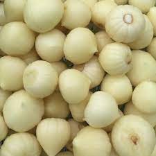 Bagaimana bawang putih yang telah lama disimpan? Hot Free Gift Bawang Putih Tunggal Lanang Jantan Shopee Malaysia