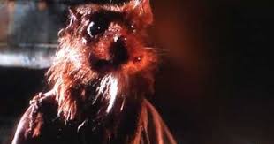 Splinter Making A Funny Teenage Mutant Ninja Turtles Popscreen Teenage Mutant Ninja Turtles Master Splinter Ninja