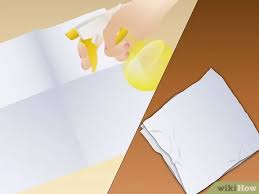 Discover how long it takes to transfer a domain name from one registrar to another as well as answers to other domain transfer questions. How To Germinate Peas 11 Steps With Pictures Wikihow