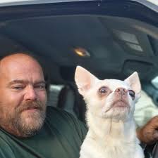 Our unwrapped shingles are awaiting your new roof. These are new Owens  Corning Architectural roof shingles, but they are sold without a warranty  due to slight color variation from the official color