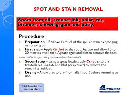 Carpet Cleaning Spotting Ppt Video Online Download