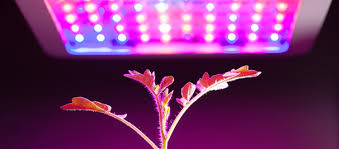 We don't know how many hours a day the ac, fridge or lights will be running each day, and how much they will overlap. How Many Watts Per Square Foot For Led Grow Lights You Need What For Me