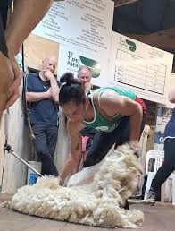 Shearing: Gisborne's Catherine Mullooly smashes record