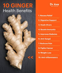 Learn about some of the most incredible health benefits of ginger! Ginger Benefits Uses Nutrition And Side Effects Dr Axe Coconut Health Benefits Food Health Benefits Health Benefits Of Ginger