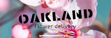The bouquets shown are medium in size. The 11 Best Options For Flower Delivery In Oakland 2021
