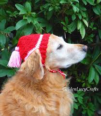 Join us for the month of interesting hats that are free. Crochet Dog Hat Free Crochet Pattern Goldenlucycrafts