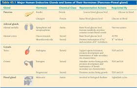 Major Human Endocrine Glands And Some Of Their Hormones