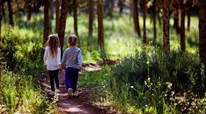 J'ai le plaisir de vous faire part du lancement du nouveau site internet officiel de la ville de fabrègues. Protection De L Enfance Site Du Departement De L Herault