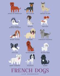 Dogs Of The World Cute Posters Show The Origins Of 200 Dog Breeds French Dogs Dog Breeds Chart Dog Breeds