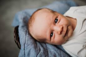 Palm + Olive Photography