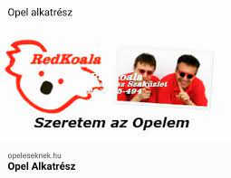 pin on opel