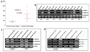 Brett delahunt 2020 impact factor: Hsa Mir 29c Regulates Epigenetic Gene Expression In Mesothelioma A Download Scientific Diagram