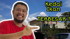 Menurut pengusaha, dia hanya masak satu periuk sahaja ikan tongkol. Melawat Kedai Ikan Paling Besar Dalam Shah Alam Selangor Malaysia Di Xian Long Aquatic Youtube