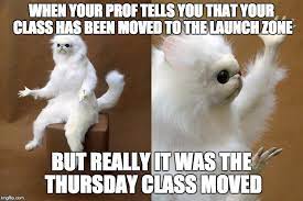 Check spelling or type a new query. The Birth Of Monkey Cat Meme I Love Memes They Always Make Me Smirk By Cristina Conforti Medium