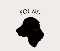 Lost and found pets in Lenawee County
