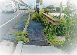 Rescreen torn or faded screen doors to improve your home's appearance. Kokua Line Honolulu Police Department Reminds Officers That Many Hawaii Driver S Licenses Have Been Extended Honolulu Star Advertiser