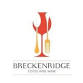 Breckenridge Ukudla newayini event image