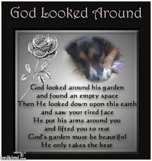 This Made Me Bust Out Into Tears I Miss You Terribly But I Know You Are Now Full Of Energy Running Around Happy With No Pa Dog Poems Pet Remembrance Pet