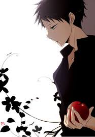 Pin By Karin Bieber On Anime Akagami No Shirayukihime Akagami No Snow White With The Red Hair