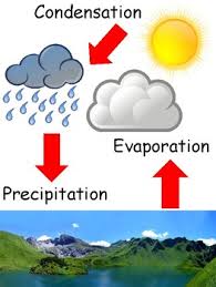 interactive water cycle anchor chart